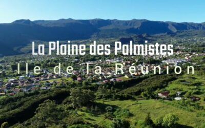 La Plaine des Palmistes : la piscine est ouverte